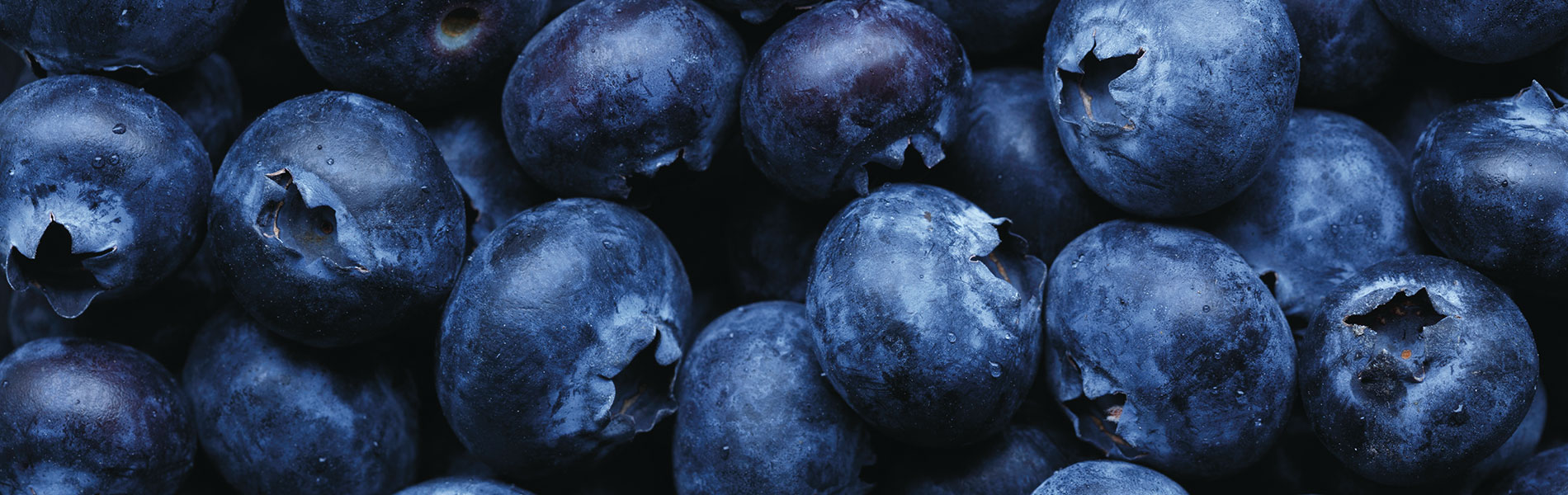 blueberries