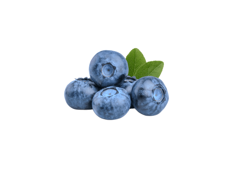 Decorative blueberry 